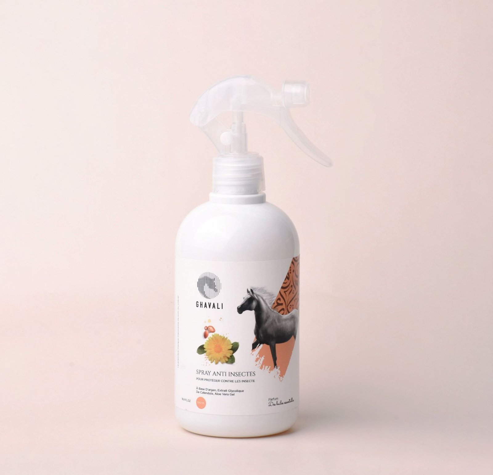 SPRAY ANTI INSECTES